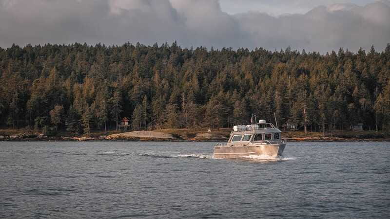 Nanaimo: Whale Watching Semi-Covered Boat Tour - Should you book the Nanaimo whale watching tour?
