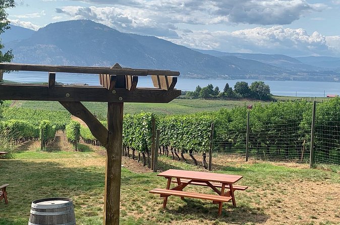 Naramata Full Day Lunch Wine Tour- Incl. Tasting Fees & Gratuity! - Price and Value: What You Pay For, What You Avoid Paying For