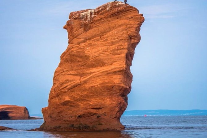 New Brunswick Shore Excursion: Bay of Fundy and More Highlights Tour - Key Highlights Worth Your Cruise Time