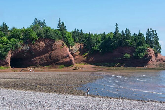New Brunswick Shore Excursion: Bay of Fundy and More Highlights Tour - Comfort and Getting Around: City-Bus Reality Check