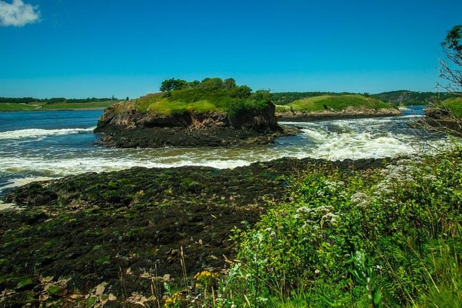 New Brunswick Shore Excursion: Bay of Fundy and More Highlights Tour - Price and Value: Is $168.11 a Good Deal?
