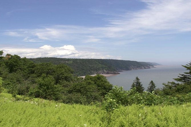 New Brunswick Shore Excursion: Bay of Fundy and More Highlights Tour - The Reversing Falls Stop: What to Expect During the Flow Changes
