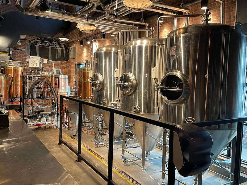 Newfoundland Beer Tasting Tour in St. John's - What You Learn: Craft Beer Tasting Skills That Actually Help