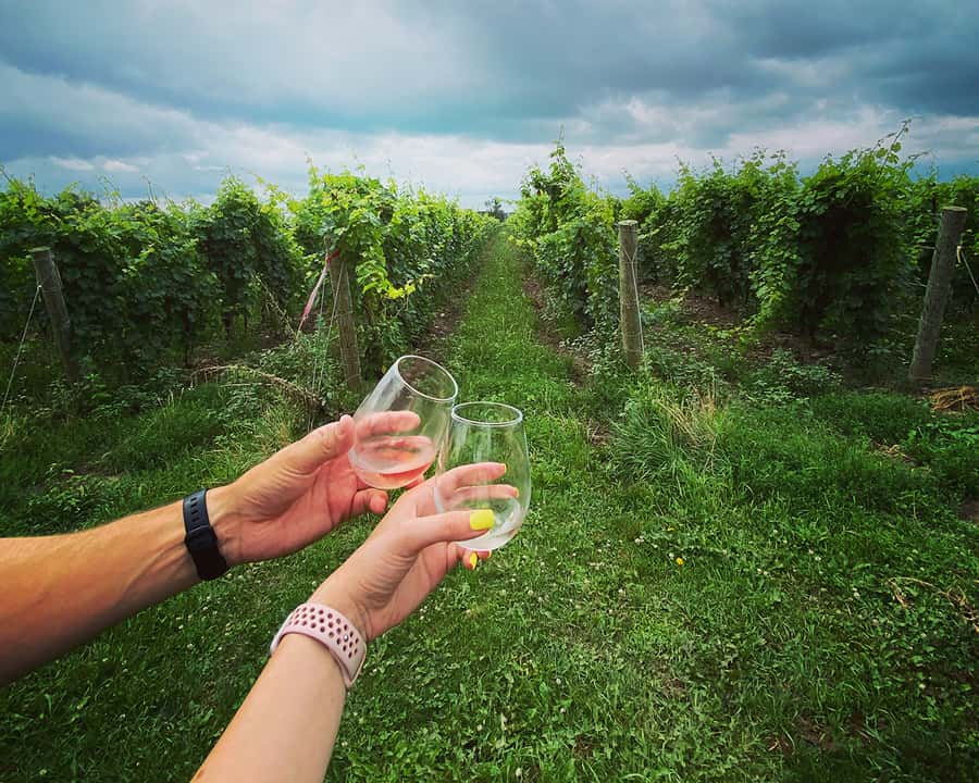 Niagara: A Twilight Wine Adventure With 3-Course Dinner - Stop 1: the first 35 minutes of tastings and how to get more from it