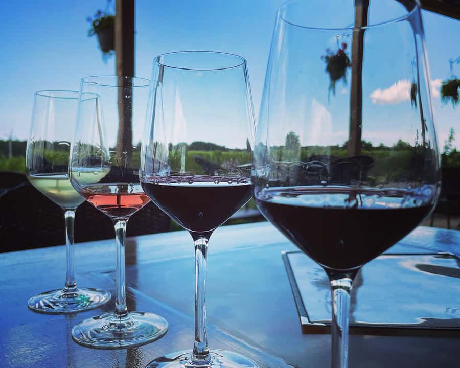 Niagara: A Twilight Wine Adventure With 3-Course Dinner - Stop 2: 35 minutes at a second winery with a cheese sampler pairing twist