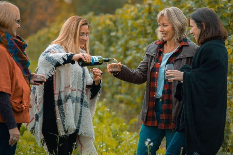 Niagara, Canada: Half-Day Winery Tour with Tastings - Niagara wine country in a half-day, not a full-day