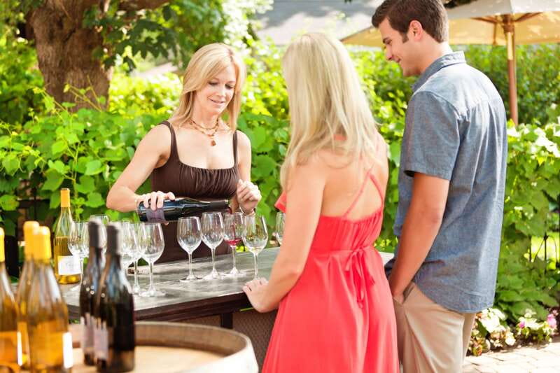Niagara, Canada: Half-Day Winery Tour with Tastings - Lakeview Estates tastings: comparing wines like a pro