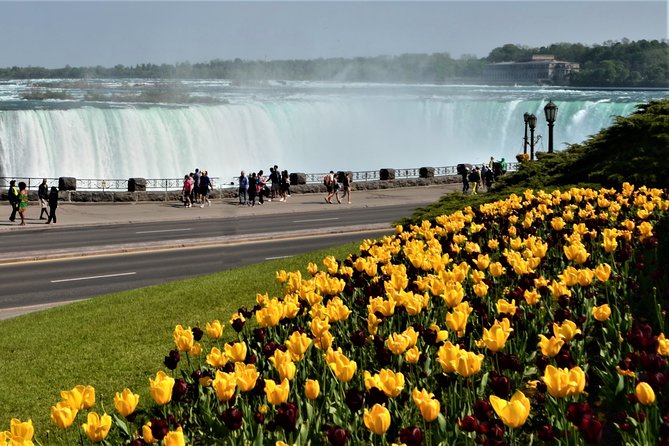 Niagara Falls and Niagara-on-the-Lake Day Tour from Toronto - Morning departure: what to expect from 55 York St