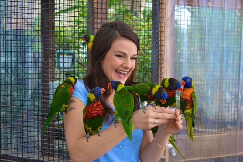 Niagara Falls, Canada: Bird Kingdom Entry Ticket - Multi-level indoor aviary: how the space is set up
