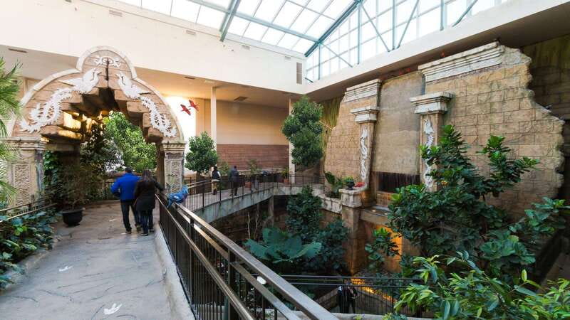 Niagara Falls, Canada: Bird Kingdom Entry Ticket - Lorikeet Landing: feeding and interaction value