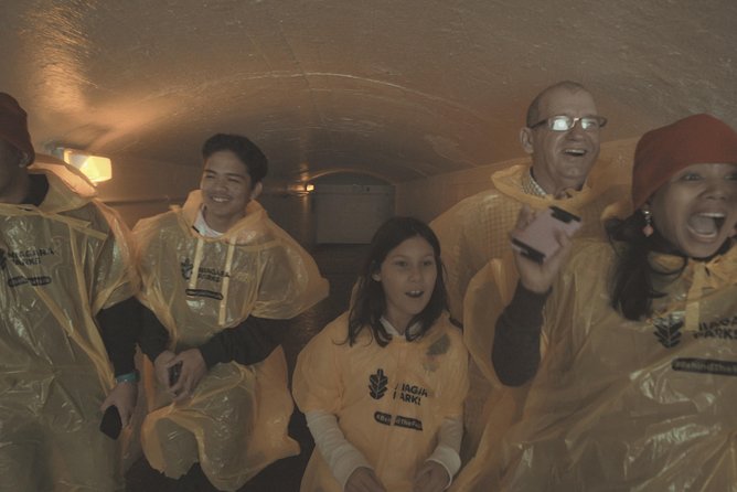Niagara Falls Canada Day + Night Small Group Tour w/Falls Dinner - Journey Behind the Falls: tunnels, two decks, and real noise