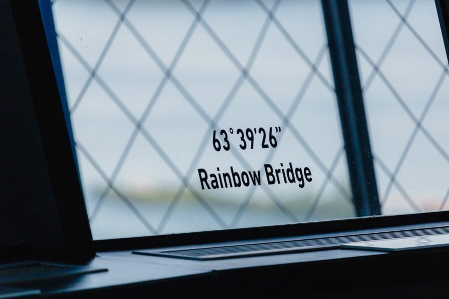 Niagara Falls, Canada: Skylon Tower Observation Deck Ticket - The Yellow-Bug elevator ride: quick thrills, big first photos
