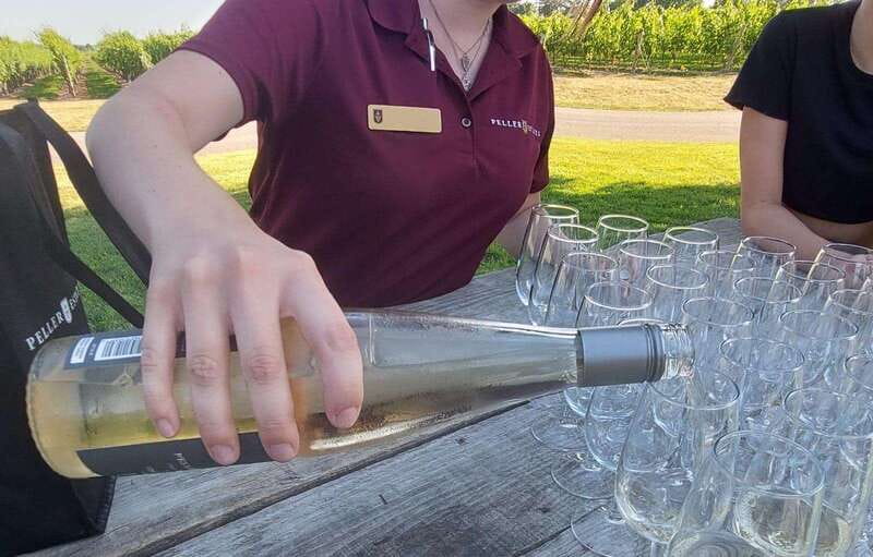 Niagara Falls: Canada with a Portuguese-speaking guide - Konzelmann Estate Winery on Lake Ontario (Taste Optional, Experience Included)