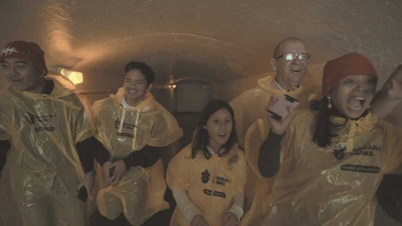 Niagara Falls: Day & Night Tour with Boat Ride and Dinner - Price and Value: What You Are Really Paying For