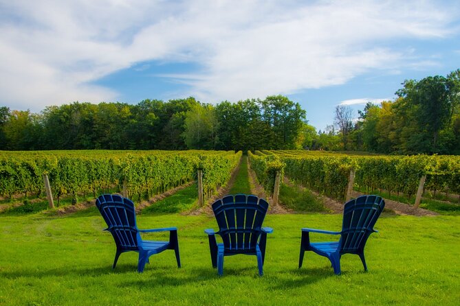 Niagara Falls Day Tour from Toronto (9 Hours) - From 55 York Street to Niagara in One Smooth Ride