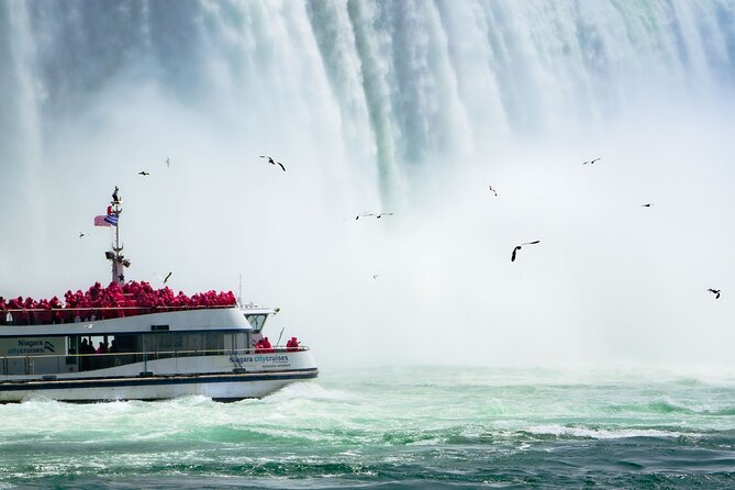 Niagara Falls Day Tour from Toronto and Skip the Line Boat Cruise - Niagara Whirlpool: quick stop, big visual payoff