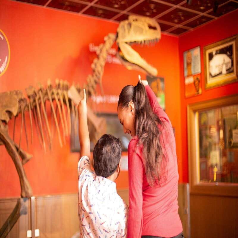 Niagara Falls: Ripley's Believe It or Not! Museum Entry - Clifton Hill Location and Why Skipping the Ticket Line Is Worth It