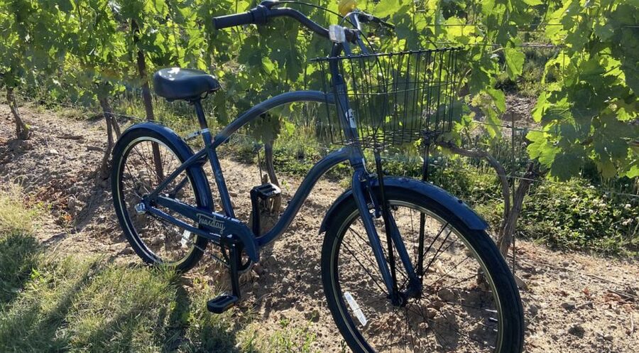 Niagara-on-the-Lake: Bicycle Tour with Wine Tasting - Small watch-outs: bikes, winery swaps, and when to adjust expectations