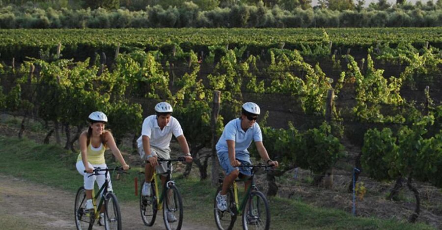 Niagara-on-the-Lake: Bicycle Tour with Wine Tasting - Why Niagara-on-the-Lake works so well on a bicycle