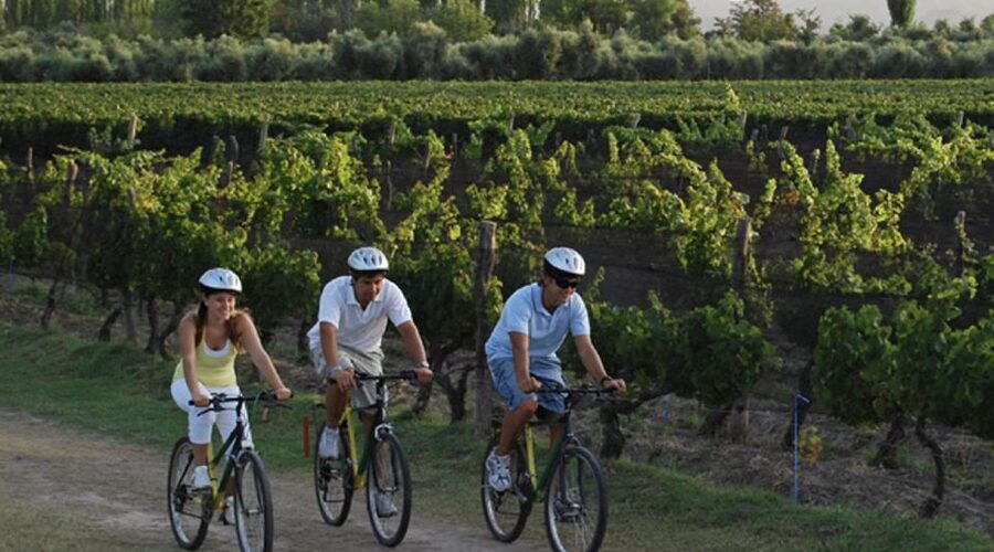 Niagara-on-the-Lake: Bicycle Tour with Wine Tasting - The ride itself: distance, effort level, and what you’ll pedal past