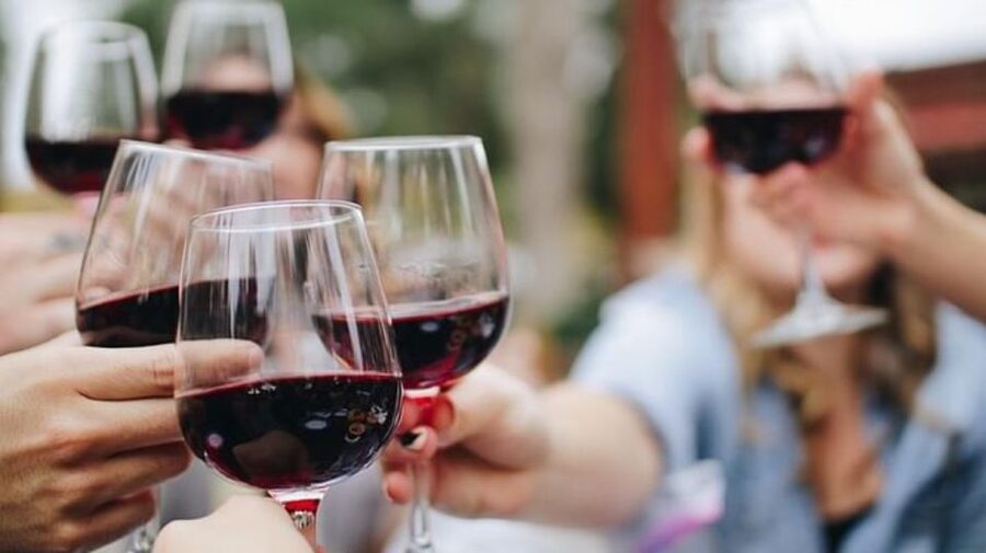Niagara-on-the-Lake: Bicycle Tour with Wine Tasting - Ice Wine: the Niagara flavor that changes how you see the region