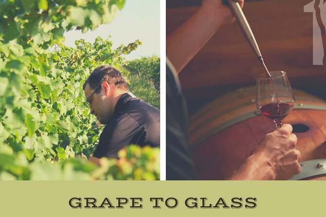 Niagara-on-the-Lake Grape to Glass Wine Experience - Key things worth knowing before you go