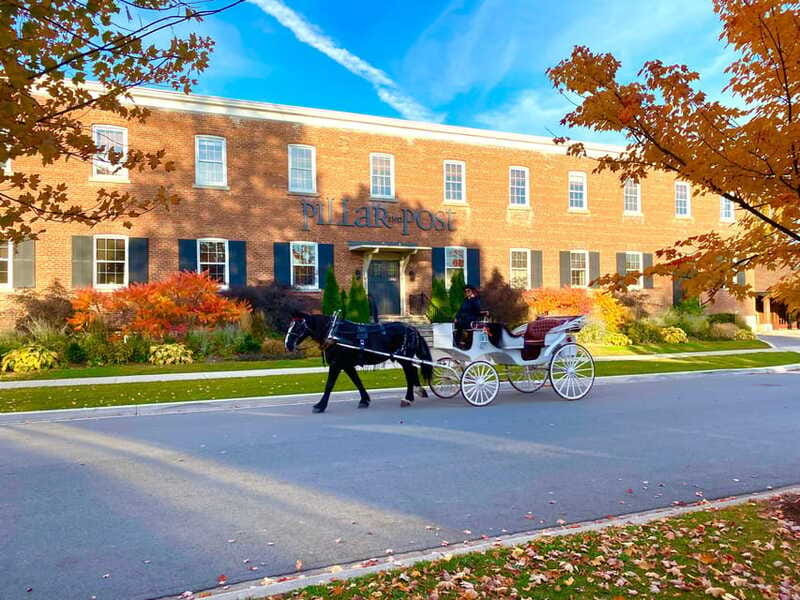 Niagara-on-the-Lake: Guided Walking Tour - Queen’s Royal Park Gazebo Views to Fort Niagara