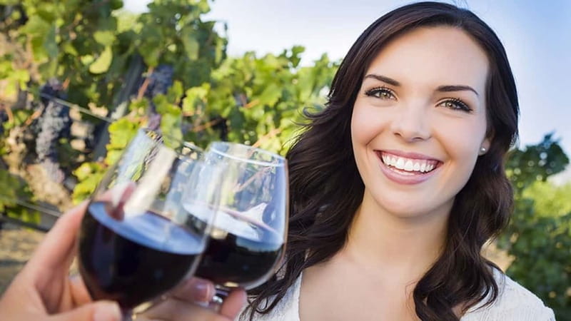 Niagara-on-the-Lake: Sunset Wine Tour with Dinner - Key points I’d plan around