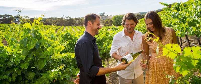 Niagara-on-the-Lake: Sunset Wine Tour with Dinner - The Havanna Niagara Falls dinner: 3 courses in a fun finish