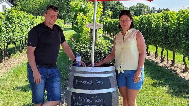 Niagara-on-the-Lake: Sunset Wine Tour with Dinner - Who this tour suits best, and who might skip it