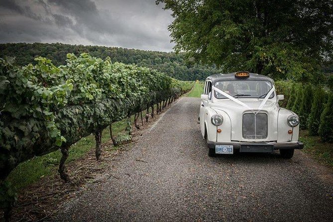 Niagara-on-the-Lake Wine Tour with Lunch -Private Tour in Classic English Cab - Stop 5: Between the Lines, two brothers and a must stop vibe