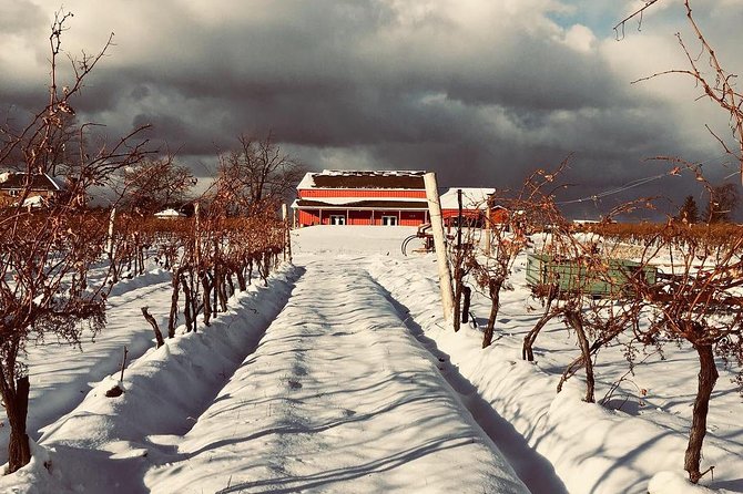 Niagara's Decadent Sparkling and Icewine Tasting - FAQ