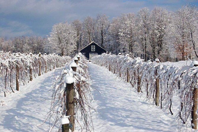 Niagara Wine Tour and Tastings with Transportation - Stop 4: Wayne Gretzky Estates plus Trius, shopping time and distillery fun