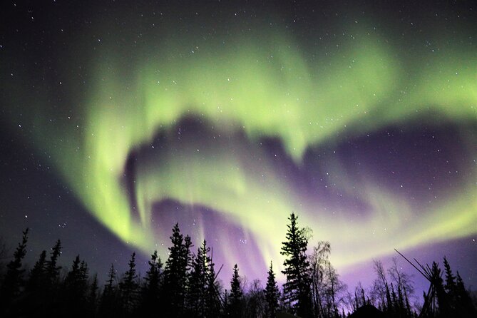 Northern Lights Tour Yellowknife - The Guide Factor: Storytelling, Decisions, and Photo Support