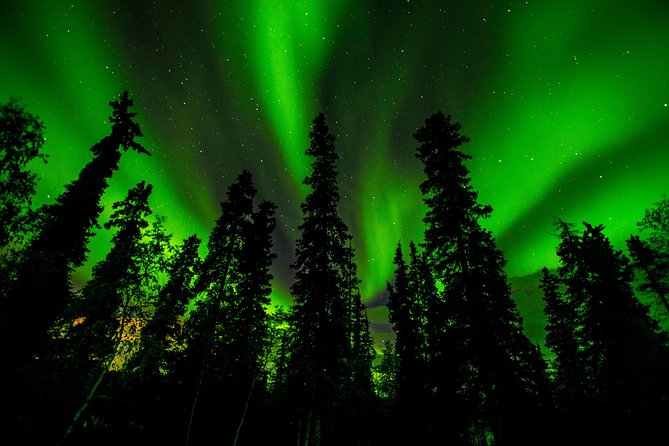Northern Lights Tours - Why Yellowknife feels tailor-made for an aurora hunt
