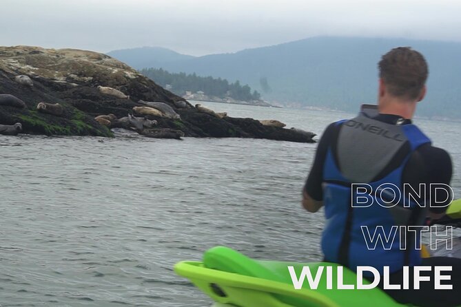 Ocean is Yours Seadoo Experience from Vancouver - Price and value: is $247.09 worth it?
