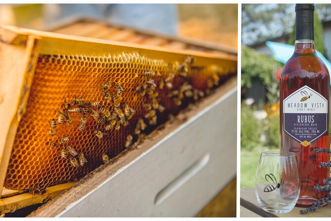 Okanagan Bee Tour and Lunch at Winery in Kelowna - Key Highlights to Know Before You Go
