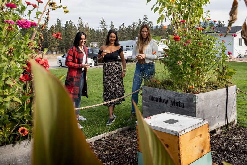 Okanagan Bee Tour, Wine Tasting and Lunch at Kelowna Winery - A 3-hour Okanagan Bee Tour that tastes like the region