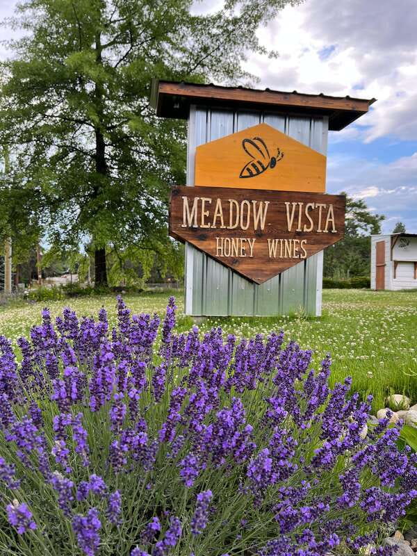 Okanagan Bee Tour, Wine Tasting and Lunch at Kelowna Winery - Lawn games and an Okanagan-style break between sips