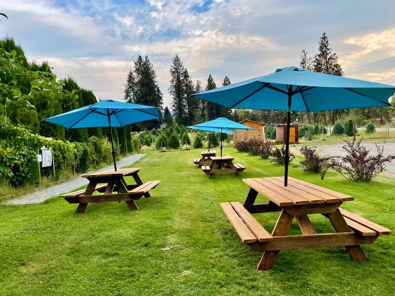 Okanagan Bee Tour, Wine Tasting and Lunch at Kelowna Winery - Is it worth $50? My value check