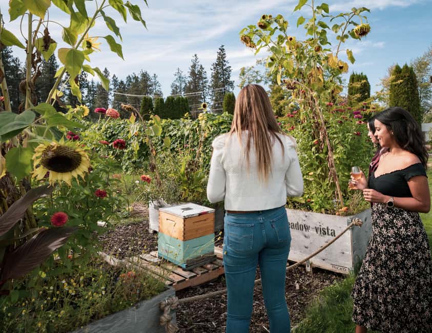 Okanagan Blackberry Fest; Wine Flights & Charcuterie Kelowna - Should you book this Blackberry Fest?