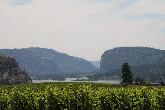 Okanagan Falls Private Wine Tour - Full Day - Stop 4 at Noble Ridge: hand winemaking plus big views to Vaseux Lake