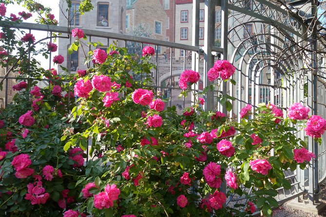 Old Quebec City Private Walking Tour : History and Nature - Value and who this tour is best for