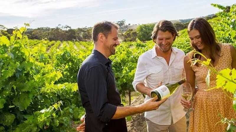 Ontario: Afternoon Wine Tour and Cheese Pairing - Niagara-on-the-Lake Wine, Four Hours, One Solid Game Plan