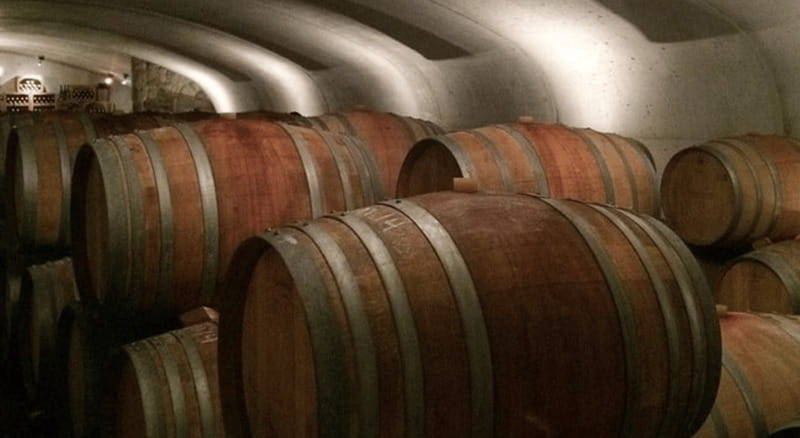 Ontario: Afternoon Wine Tour and Cheese Pairing - How Guides Turn Tastings Into Real Understanding