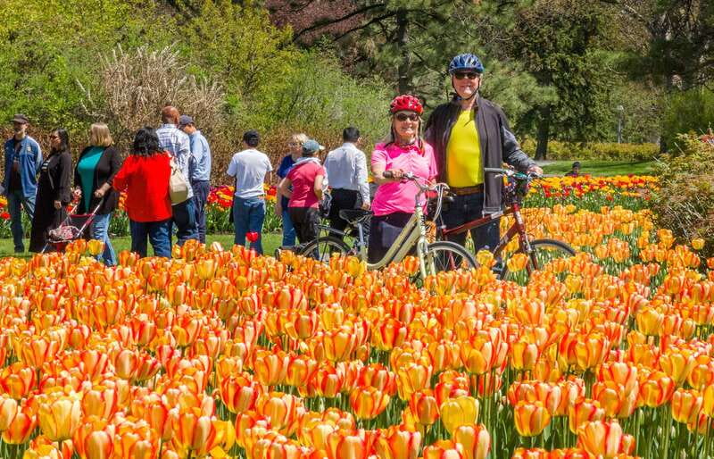 Ottawa: 2 or 3.5-Hour Guided Bike Tour with a Local Guide - Why an Ottawa bike tour beats walking, in plain terms
