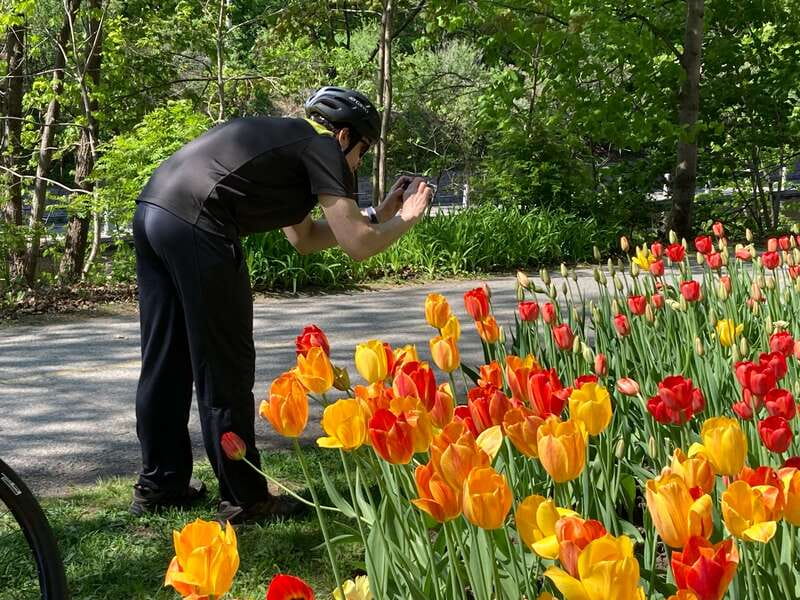 Ottawa: 2 or 3.5-Hour Guided Bike Tour with a Local Guide - Parliament Hill, the War Memorial, and the Ottawa core you can actually see