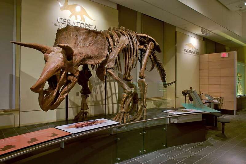 Ottawa: Canadian Museum of Nature Admission - How long to plan, plus your best day timing in Ottawa