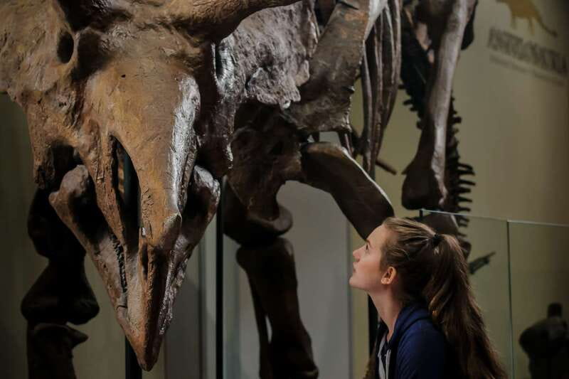 Ottawa: Canadian Museum of Nature Admission - Rules that affect the flow of your day
