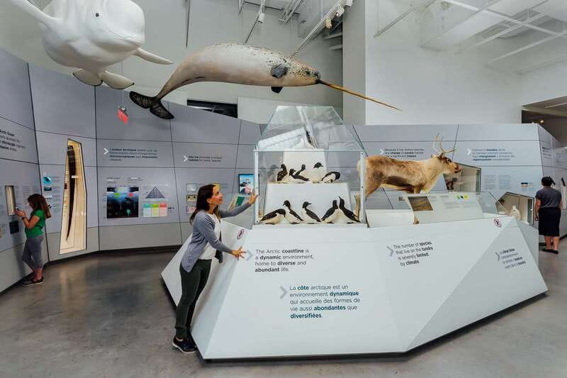 Ottawa: Canadian Museum of Nature Admission - Price and value: what your $19 Ottawa admission really buys
